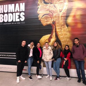 2020-01-27 Visita de l'exposició Human Boidies -Alumnes de Proves d'Accés a GS-